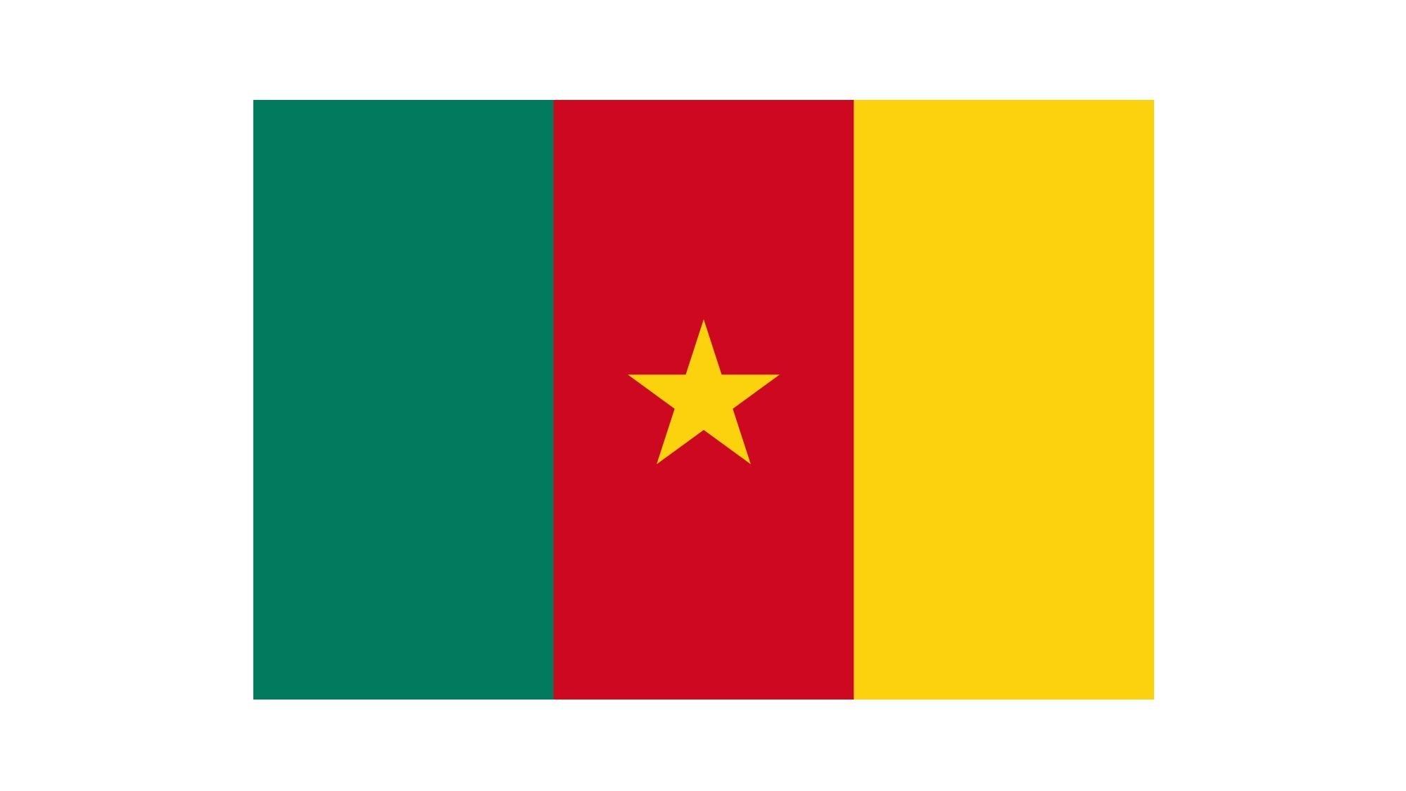 EMSA donne un coup de pouce à la construction gouvernementale au Cameroun